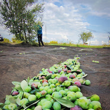 Carica l'immagine nel visualizzatore di Gallery, Olio Extra Vergine di Oliva - Az. Agr. Macchia Gioacchino